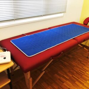 生物共振墊HC-202